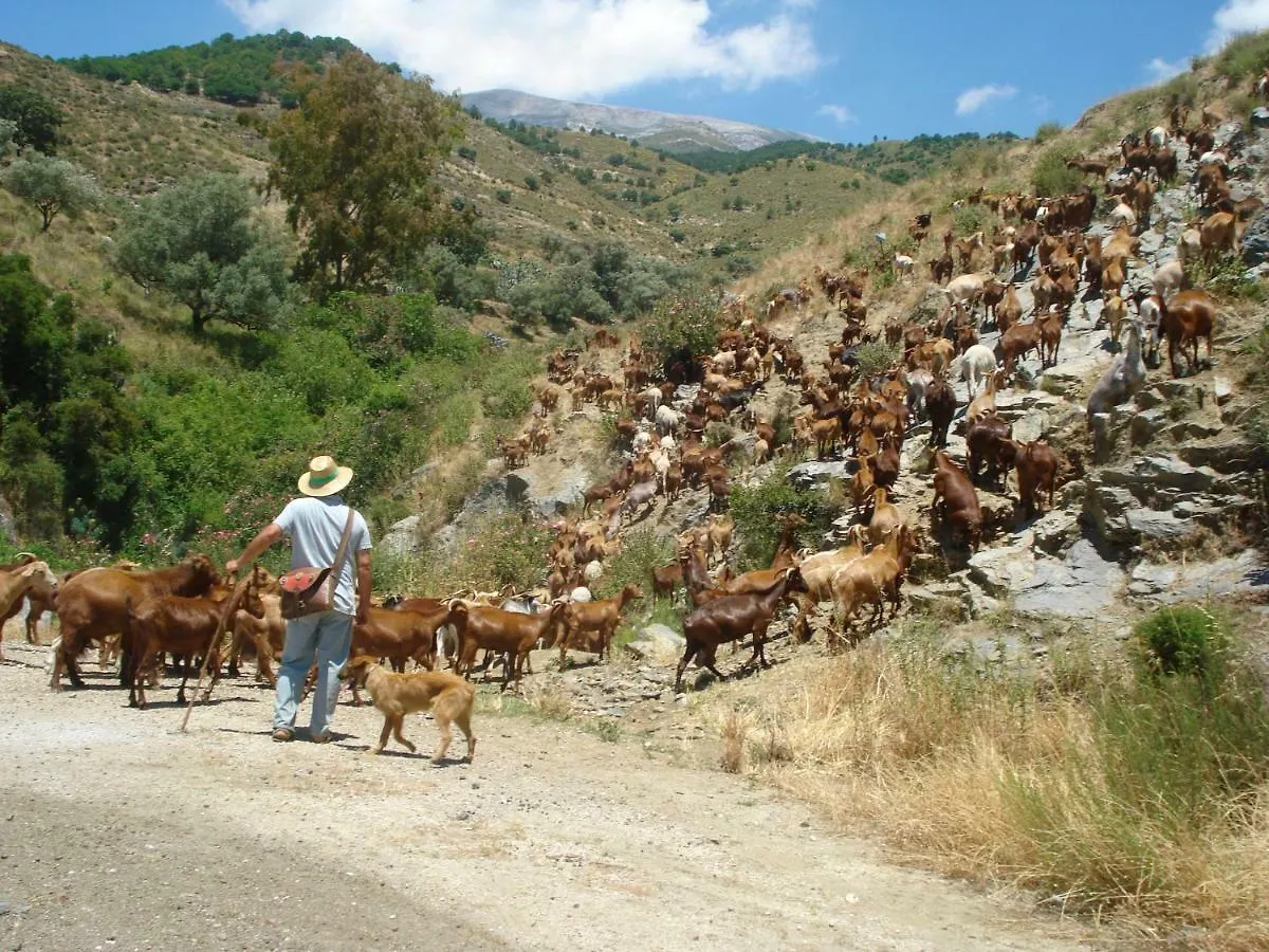 بيت للعطل فيلا Molino De Las Tablas Ríogordo